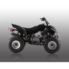 110cc quad-1 moto